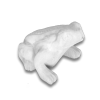 MCOFROGLARGE