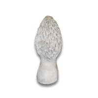 MCOMUSHROOMMOREL