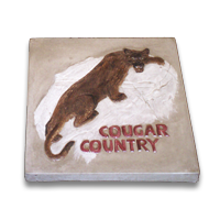 MCOPICSTNCOUGARCNTRY