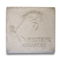 MCOPICSTNMUSTANGCNTY