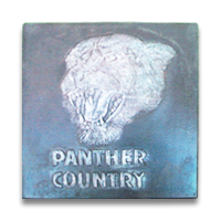 MCOPICSTNPANTHERCNTY