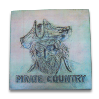 MCOPICSTNPIRATECNTRY_1.png