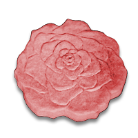 MCOPICSTNROSE