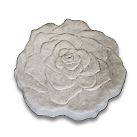 MCOPICSTNROSE_1.png