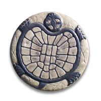 MCOPICSTNTURTLE