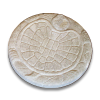 MCOPICSTNTURTLE_1.png