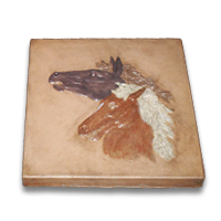 MCOPICSTNWILDHORSES