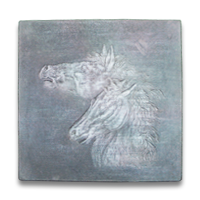 MCOPICSTNWILDHORSES_1.png
