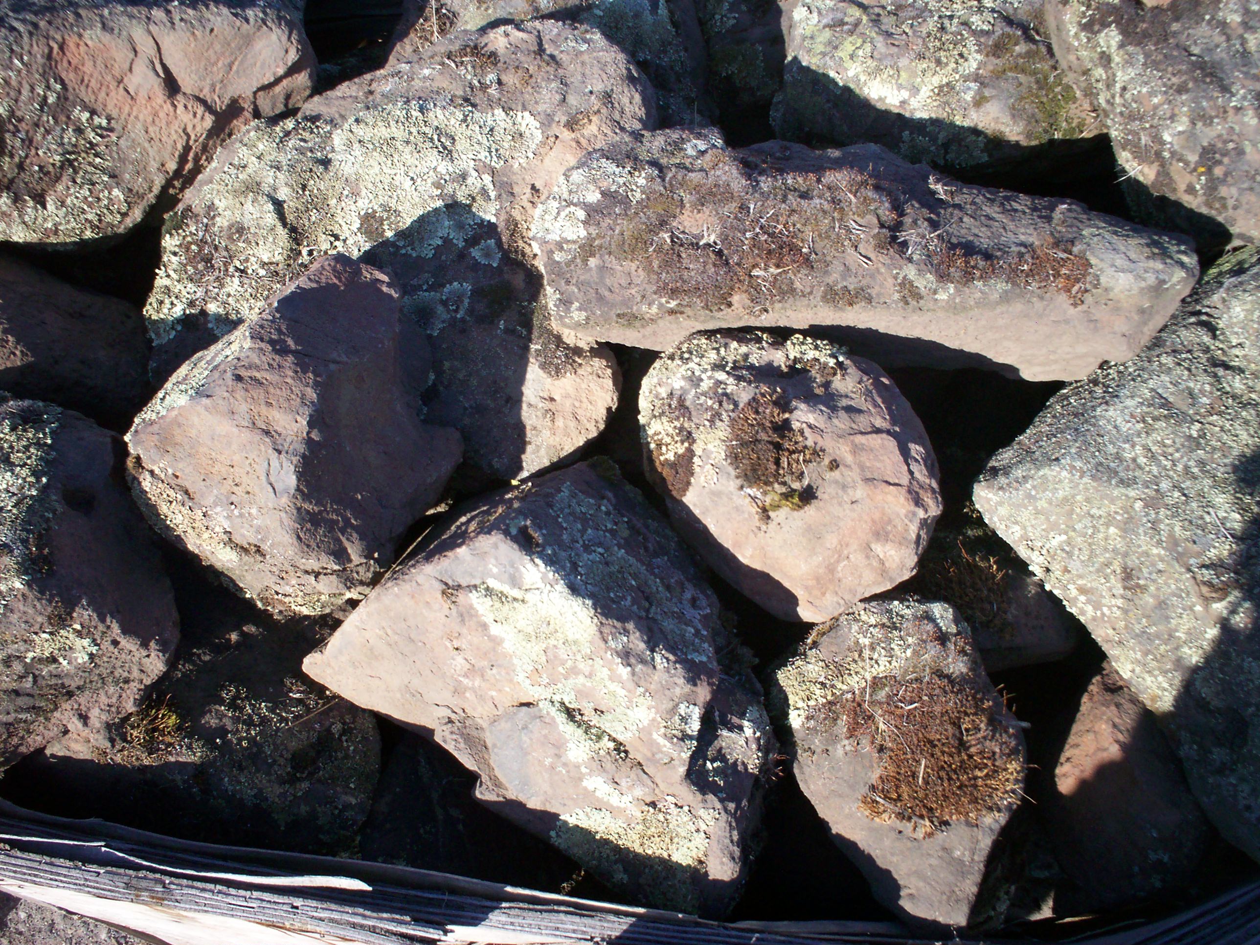 PROCKBOULDERMOSS