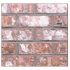 PBSSC-CASCADE SPICE