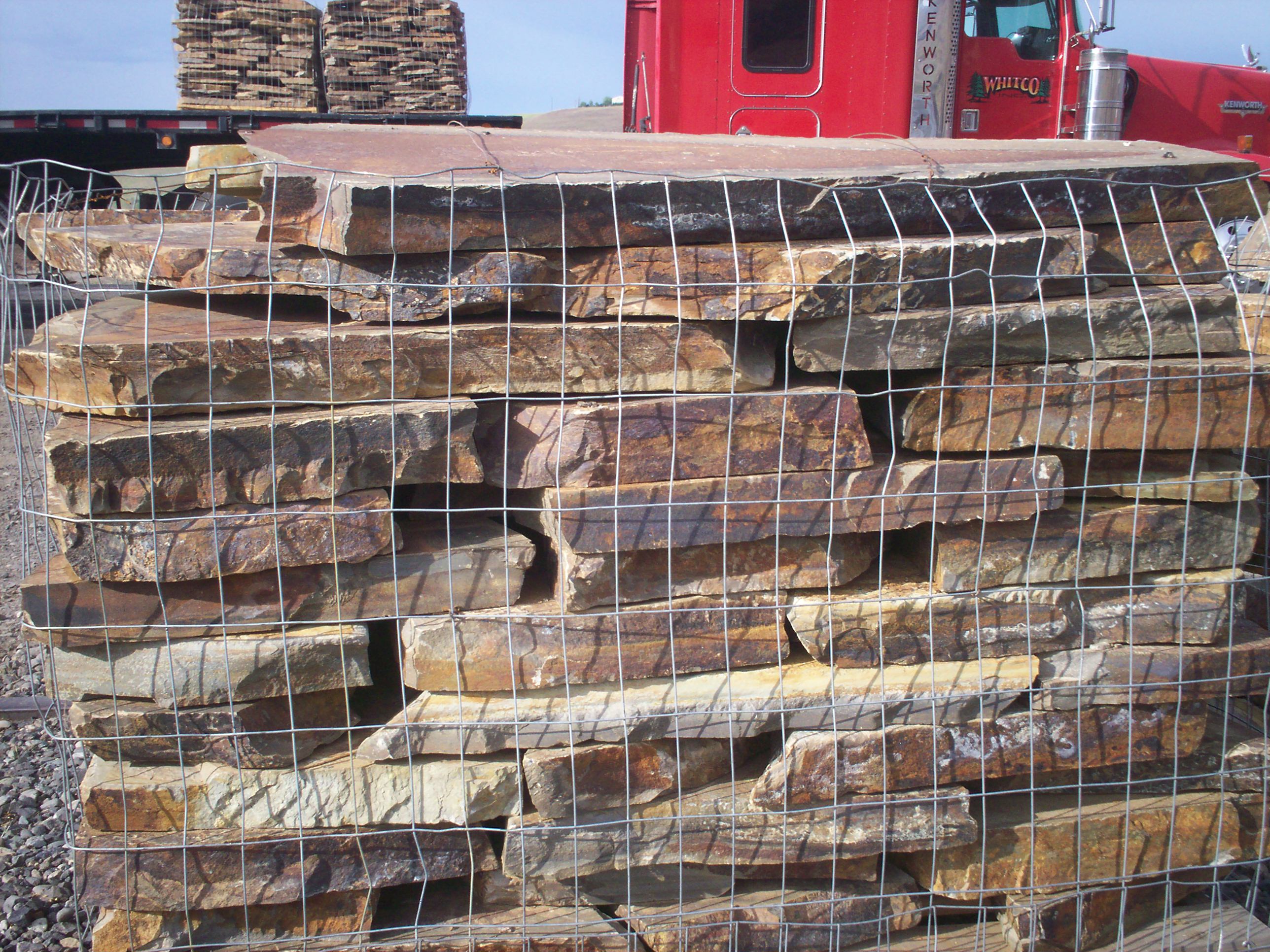 PROCKSTEPSTONEWAPITI