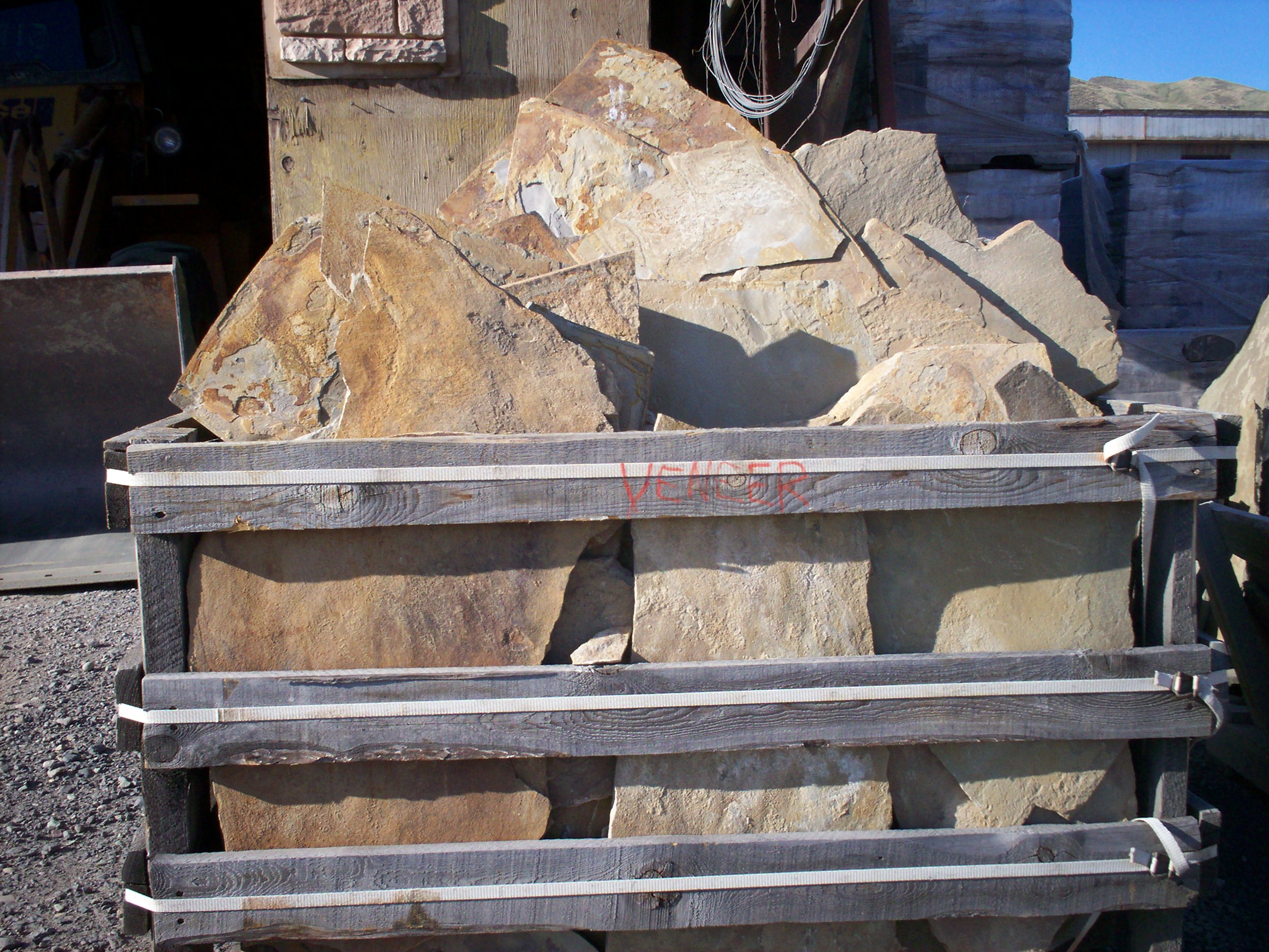 PROCKVENEERWAPITI