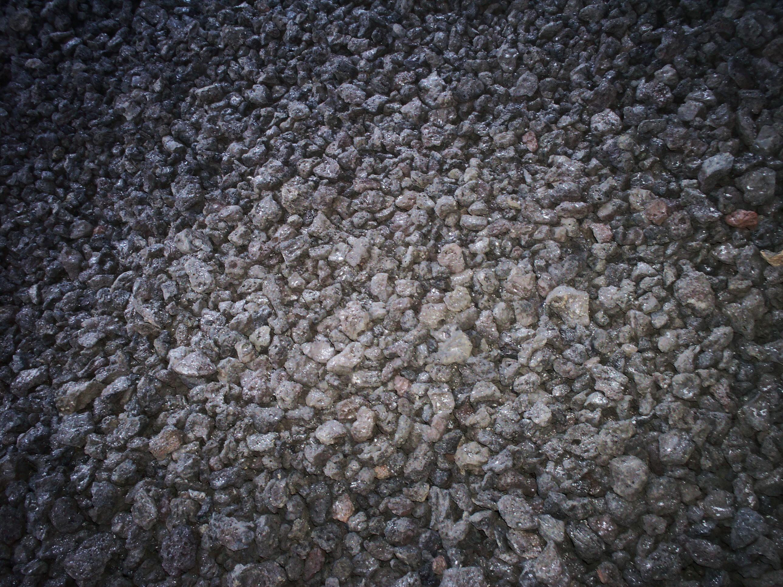 PROCKBLACKBULK